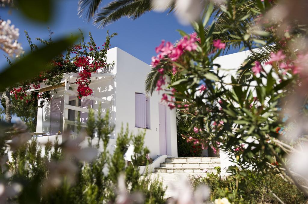 Kostantakis Winery Estate Guest House Pollonia Rom bilde